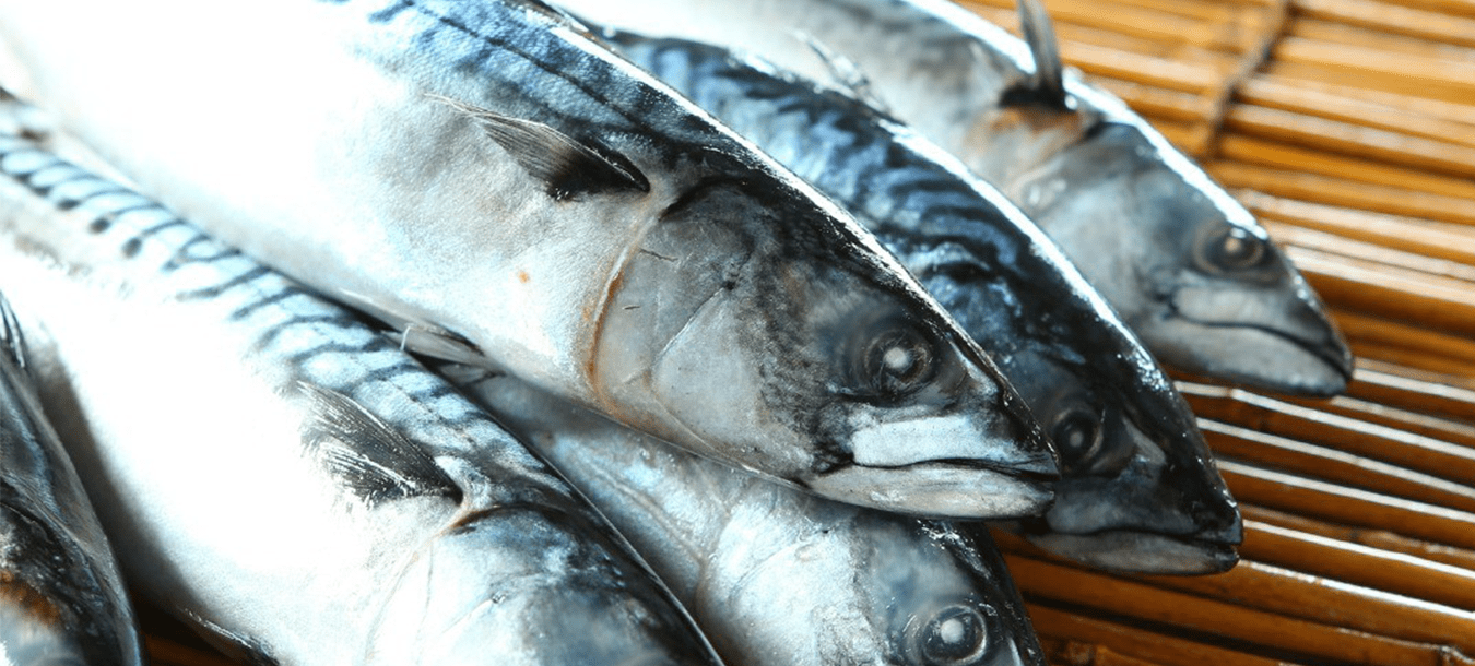 プライバシーポリシー